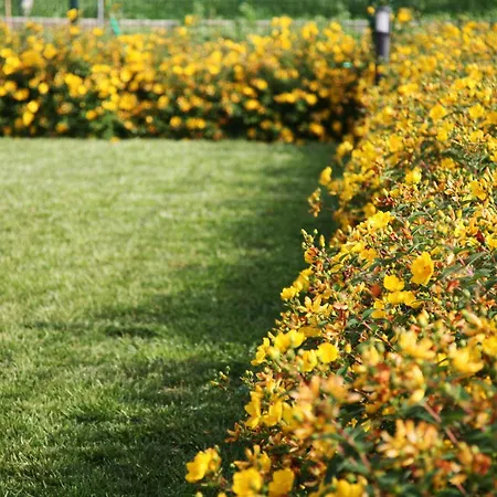 Ca' Vittori 3* Valeggio sul Mincio