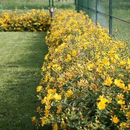 Ca' Vittori 3* Valeggio sul Mincio