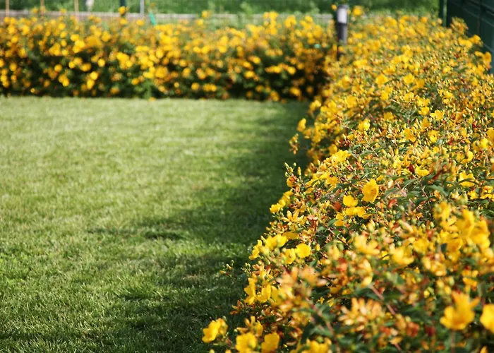 Ca' Vittori 3* Valeggio sul Mincio