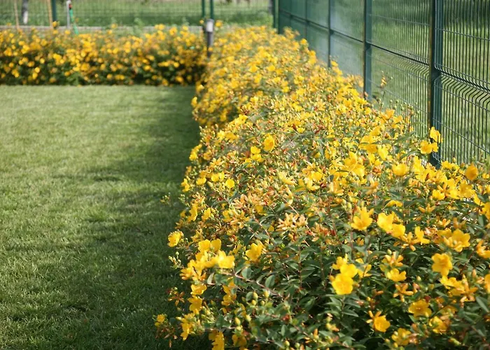 Ca' Vittori 3* Valeggio sul Mincio