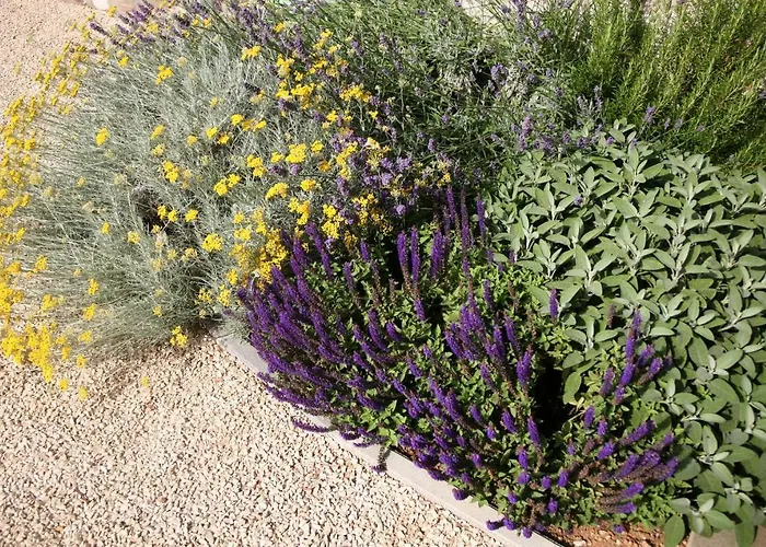 Affittacamere Ca' Vittori