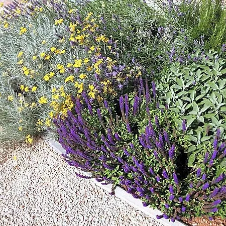 Ca' Vittori