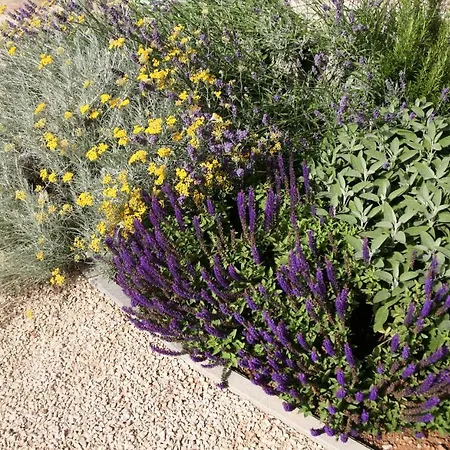 بيت ضيافة Ca' Vittori